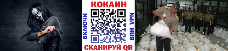 где купить наркотик  omg ONION  COCAIN 99%  Шенкурск 
